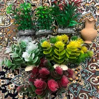 متعلقات آکواریوم|ماهی|اصفهان, مولوی|دیوار