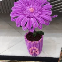 گلهای مخملی