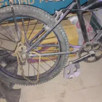 دوچرخه|دوچرخه، اسکیت، اسکوتر|کاشان, بهشتی|دیوار