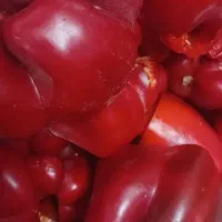 سس فلفل دلمه ای