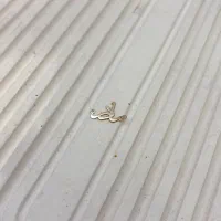 پلاک مادر طلا|جواهرات|کرج, برغان|دیوار