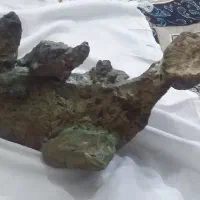 سلام مجسمه سنگی حیوانی که منقرض شده