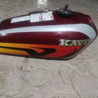 باک کاربرات معاوضه با کفتر نر بپر