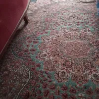 فرش ۷۰۰شانه نگین مشهد|فرش|مشهد, سمزقند|دیوار