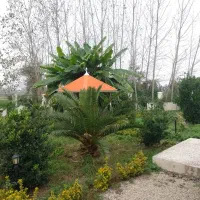 ویلا800متری سند تک برگ نزدیک جاده اصلی بین الملل