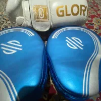 میت و دستکش بوکس چرم