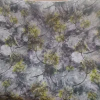 چادر|لباس|تربت‌حیدریه, اندیشه|دیوار