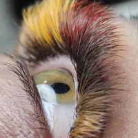 آموزش صفر تا صد اکستنشن مژه و لیفت|خدمات آرایشگری و زیبایی|رشت, منظریه|دیوار