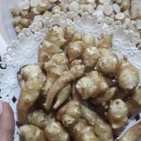 شلغم (یارالماسی)