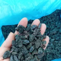 خبر خبر بادوم هندی درجه یک چاق گوشتی، مویز ،فندق|خوردنی و آشامیدنی|اراک, |دیوار