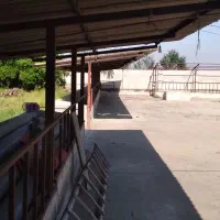 دامداری صنعتی|فروش دفتر صنعتی، کشاورزی، تجاری|نوکنده, |دیوار