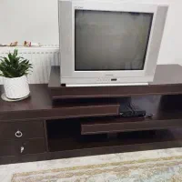 صوتی وتصویری|تلویزیون و پروژکتور|گرگان, |دیوار