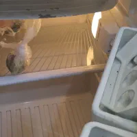 وسایل سالنی در حد نو|آرایشگاه و سالن‌های زیبایی|اهواز, مجاهد|دیوار