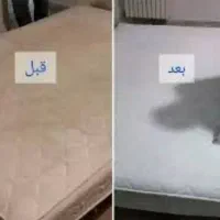 شرکت خدمات مبل شویی ماندگار با مواد نانو|خدمات نظافت|اراک, |دیوار