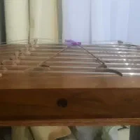 سنتور دو مهر رها