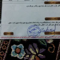 پراید ۸۶ رنگ نقره ای آماده سواری|خودرو سواری و وانت|اشکذر, |دیوار