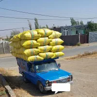 کاه درجه یک