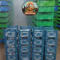 میلورم|لوازم جانبی حیوانات|شیراز, حسن آباد|دیوار