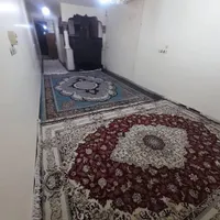 اجاره سوئیت وآپارتمان|اسکان اضطراری|مسجد سلیمان, |دیوار