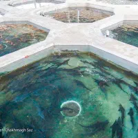 کارگر سرایدار مزرعه پرورش ماهی