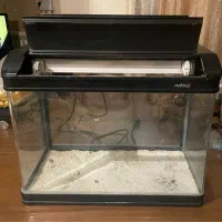 آکواریوم|ماهی|تهران, سوهانک|دیوار