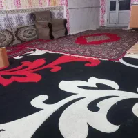 سوییت دربست