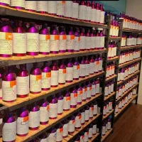 عطر مای وی نکتار و دیگر عطرها عمده|عمده‌فروشی|بوشهر, |دیوار