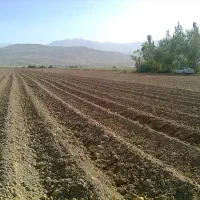 اجاره زمین کشاورزی  مبلغ اجاره بصورت توافقی