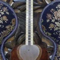 ساز تار ایرانی|سازهای سنتی|هشتگرد, شهرک بعثت|دیوار