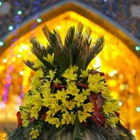 اپراتور سیستم