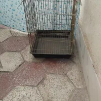 قفس|لوازم جانبی حیوانات|مشهد, شهید قربانی|دیوار