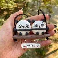 آویز ماشین و رو داشبوردی