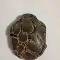 سنگ خاص
