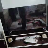 تلویزیون ۴۳ اکسون