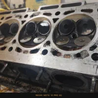 سرسیلندر زانتیا اروپایی