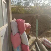 فروش کود حیوانی تمیز بدون آشغال|خدمات باغبانی و درختکاری|تهران, شهرک علم و فناوری|دیوار