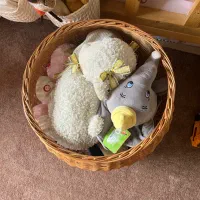 باکس اسباب بازی حصیری|اسباب و اثاث بچه|گرگان, |دیوار