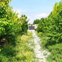 باغ ۱۳۳۰متر شهریار،دهشاد پایین،خیابان ایران زمین|فروش خانه و ویلا|شهریار, دهشاد پائین|دیوار