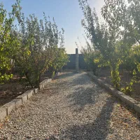 باغ ۱۹۰متری/باغچه/ درختان مثمر/چهاردیواری/آسفالت