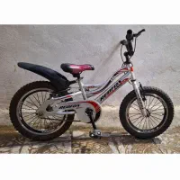 دوچرخه