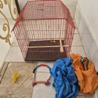 قفس پرنده نو