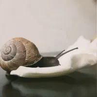 حلزون پشتکار
