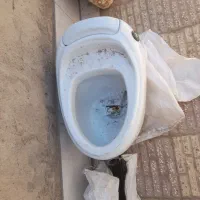 توالت فرنگی
