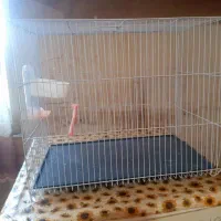 قفس پرنده سالم نو۷۰۰هزارتومان