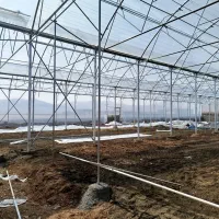 کارگر|استخدام معماری، عمران و ساختمانی|دهق, |دیوار