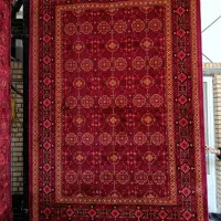 ۵۰۰تخته فرش در انواع رنگ بندی|فرش|ایلام, |دیوار