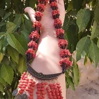 مهلو ومیخک خوش بو وخوش عطر