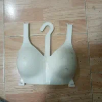 رگال|کتابخانه، شلف، قفسه‌های دیواری|گنبد کاووس, |دیوار