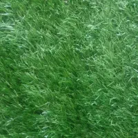 چمن مصنوعی نو