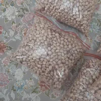 لوبیای چهارمحال بختیاری